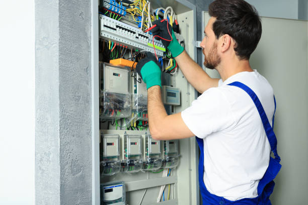 Best Electric Panel Repair  in Okawvle, IL