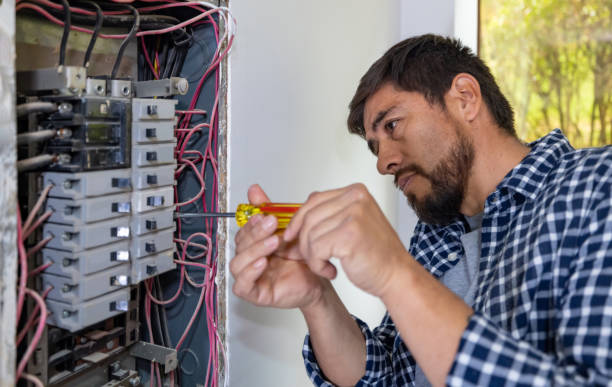 Best Ceiling Fan Installation Electrician  in Okawvle, IL